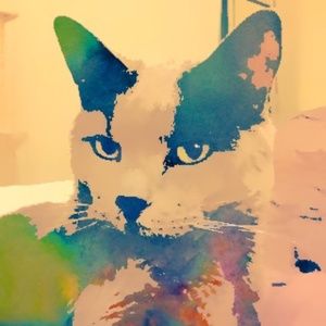 Meet your Posher, Cathy